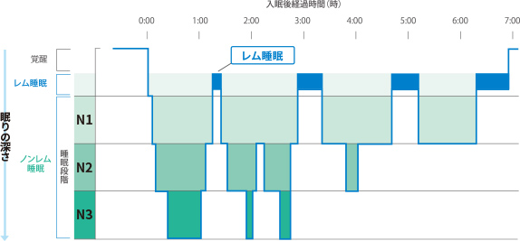 睡眠のメカニズム