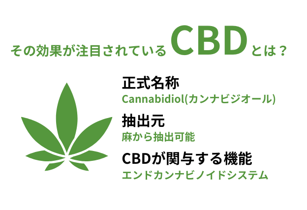 CBDとは？話題の成分