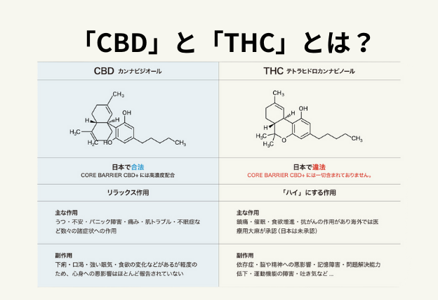 CBDとTHCの違い