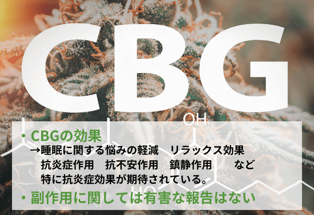 CBG　効果