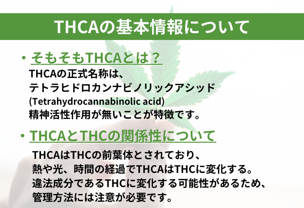 THCA　基本情報