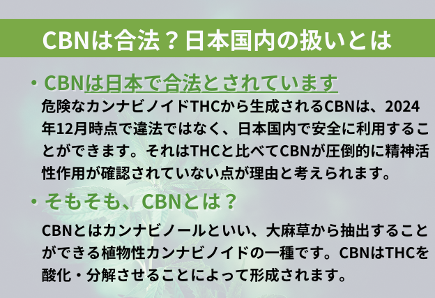 CBNの合法性とは