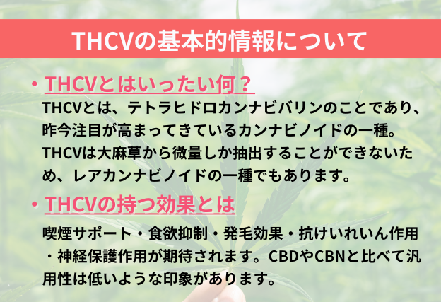 THCVとは